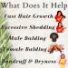 Natural Rapid Growth Grease | Balding Balm for Fast Hair Growth | Reduce Hair Loss & Dandruff - Buy Online on GoSupps.com