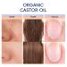 WBTQWJ Organic Castor Oil With Anti-Spill Roll On 100% Castor Oil Cold-Pressed for Hair Growth Eyebrows and Skin Nursing.-1Pcs - Buy Online on GoSupps.com