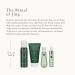 Shop Rituals Gift Set for Women - The Ritual of Jing Size S | Relax with Sacred Lotos Jujube & Chinese Mint - Buy Online on GoSupps.com