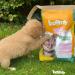 Boomy - Cold Pressed Dog Food - Puppy/Junior - Chicken - 4kg - Buy Online on GoSupps.com