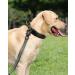 Joyal Tactical Dog Collar | Medium-Sized Dog Collar with Handle & QR Code | Army Green - Buy Online on GoSupps.com