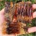 Gemstones and Crystals 50-400g Natural Yellow Amber Calcite Raw Stone Crystal Gem Collection of Rough Rock Specimens Home Decor QINTINYIN Stone Mineral Specimen (Color : 170-200g) - Buy Online on GoSupps.com