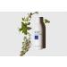 LATHER Mint Thyme Hair Wash - Natural Shampoo with Peppermint Oil, Green Tea, Mint & Thyme - 8 Oz Bottle | Self Care Essential Oils - Buy Online on GoSupps.com