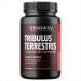 Tribulus Terrestris for Men (95% Saponins) with Maca Root - 1 000 mg Tribulus Terrestris Extract and Maca Root Capsules for Men - Male Performance Support - 90 Tribulus Extract and Maca Capsules 90 Count (Pack of 1)