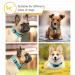 Heele Reflective Dog Collar - Soft Neoprene Padded Nylon for Small Medium Large Dogs - Adjustable Sky Blue (26-38cm) - Buy Online on GoSupps.com