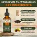 AureaSalus Liposomal Ashwagandha Drops 2000mg with Probiotics & Black Pepper Extract - Stress Relief & Energy Boost - 60ML - Buy Online on GoSupps.com