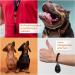 Chillife Premium Dog Training Accessories Set | Whistles Clickers & Trill Pipes for Puppies & Dog Training - Buy Online on GoSupps.com