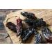 Chipotle Morita Chile Peppers 5 oz - Robust Smokey Flavor for Mexican Recipes - Mole, Sauces, Tamales, Salsa, Meats, Stews - Medium to High Heat - Resealable Bag by Amazing Chiles and Spices - Buy Online on GoSupps.com
