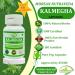Natural and Pure Herbal Kalmegha (Andrographis Paniculata) Extract Capsules | Highest Potency 100% Natural Product | Pack of 60 x 500 mg. Veg. Capsules (Pack of 2) - Buy Online on GoSupps.com