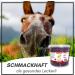 Supravit Rose Hed Horse 2kg Bucket | Vitamin C Enriched Dried Fruits for Horses & Ponies | Sugar-Free Natural Treats | Premium Quality - Buy Online on GoSupps.com