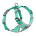 Thinkpet no-pull dog harness leash set breathable chest harness for small medium large dogs adjustable soft running harness safe control padded reflective safety harness 2xs (1 Pack) green