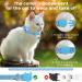Reflective Airtag Cat Neck Band | Integrated Cat Necklace with Holder & Bell for Kittens & Puppies (Blue) - Buy Online on GoSupps.com