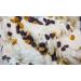 Malaga Ice Cream Trap - 250g | Indulge in Delicious Ice Creams Desserts Drinks & Chocolates - Buy Online on GoSupps.com