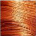 Osmo Colour Revive Cool Brown 225ml - Pack of 1 - Buy Online on GoSupps.com
