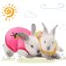 8-Piece Warm Fleece Pet Rabbit Clothes | Cute Small Animal Vest T-Shirt for Bunny, Kitten, Ferret, Chihuahua, Puppy | Soft & Cozy Apparel for Small Animals - Buy Online on GoSupps.com
