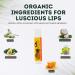 Ola Tropical Apothecary Tropical Lip Renew - Tropical Smoothie Lip Balm 1 Count (Pack of 1) - Buy Online on GoSupps.com