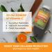 DACHA Nutrition Liposomal Vitamin C - 200 Capsules | Natural Immune Support - Buy Online on GoSupps.com