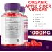 Metabolix Labs Keto ACV Gummies - Advanced Weight Loss Support with 1000MG Apple Cider Vinegar Folate Beet Root & Pomegranate (60 Gummies) - Buy Internationally - Buy Online on GoSupps.com