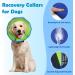 Dog Cone Collar After Surgery Adjustable Dog Cones to Stop Paw Licking Soft & Breathable Pet Recovery Collars Protective Neck Collars for Dogs and Cats Quick Healing Elizabeth Collar (Blue & Green L) - Buy Online on GoSupps.com
