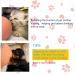 Puppy Milk Feeder with Four 4 Nipples Silicone Puppy Nursing Station Pet Milk Feeder Bowl for Kittens  Puppies  Rabbits Kitten Nipple Puppy Feeder Capacity 200ml 6.76us fl oz Pink - Buy Online on GoSupps.com