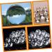 Gleavi 4-Piece Crystal Fitness Balls | Jade Hand Massage & Exercise Tool | International Shipping - Buy Online on GoSupps.com