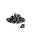 PlantLife Organic Black Bukhara Raisins 2lbs - Shade-Dried, Raw, Non-GMO, USDA Certified Organic, Unsulfured & Vegan - Buy Online on GoSupps.com