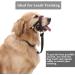 Durable Dog Head Necklace Halter for Labradors | Soft Upholstery & Training Instructions | No Pulling - Medium/Black - Buy Online on GoSupps.com