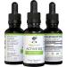 Vegan Vitamin B12 Liquid Extract - Methylcobalamin Drops for Energy & Immune Health - 1oz - Buy Online on GoSupps.com