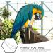 CIYODO 1 Set Parrot Anklet Parrot+Ring+Foot Bird Harness Parrot Foot Ring Bird Leash Conure Stainless Steel 23X4X0.1cm Silver - Buy Online on GoSupps.com