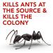 Raid Ant Killer Baits And Traps For Indoor Use Child Resistant 8 Count Baits Ant Killer - Buy Online on GoSupps.com