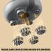 Stimulateur Capillaire Pour Pousse Des Cheveux | Appareil De Massage Du Cuir Chevelu Utilisable Sec Et Sous La Douche 3 Vitesses Portable Stimulateur Folliculaire Activation Anti-Perte de Cheveux Br - Buy Online on GoSupps.com