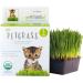Organic Cat Grass Kit - 3 Trays, Soil Pucks & Non GMO Wheatgrass Seeds - Healthy Treat for Cats, Dogs, Rabbits & More - Buy Online on GoSupps.com