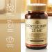 Solgar Gentle Iron 25 mg - 360 Vegetable Capsules (Pack of 2) - Non-Constipating & Gentle on Stomach - Non-GMO, Gluten-Free - Buy Online on GoSupps.com