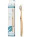 truemorrow Bamboo Toothbrush | certified sustainable plastic-free biodegradable handle | 100% vegan Green