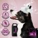 GROOM Professional Coat Repair Conditioner for Dogs - 4L | Repair Damaged Hair & Soothe Dry Itchy Skin - Softens Fur - Buy Online on GoSupps.com