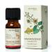 AROMAFUME Frankincense Essential Oil - 100% Natural Therapeutic Grade Essential Oils - Pure Calming Aromatherapy Oil for Home Diffusers - Gifts for Her - 10ml