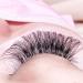 VEYES INC Premium Classic Volume Eyelash Extensions Tray - C-0.03, 10mm | Mink Silk Individual Lashes for Salon Use - Buy Online on GoSupps.com