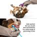 PetFusion Multipurpose Pet Glove for Grooming, Vet Trips & Handling - Medium, Grey - Buy Online on GoSupps.com