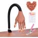 Adjustable Fake Model Hand for Acrylic Nail Practice - Nail Training Hand Kit with Nail File, Clipper, and 300pcs Tips - Ideal for Nails Art Beginners - Buy Online on GoSupps.com
