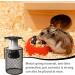 Vegena 100W Reptile Heat Lamp with Protective Basket | Ceramic Heating Lamp for Terrarium & Reptiles - EU Plug - Buy Online on GoSupps.com