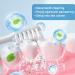 SP-7 Probiotic Toothpaste for Fresh Breath & Whitening - Deep Cleaning Care (2Pcs + 2 Toothbrushes) - International Shipping Available - Buy Online on GoSupps.com