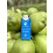 Palmdream Coconut Water - No Sugar Added | Premium Non-GMO Coconut Water from Single Origin Coconuts | Gluten Free | Natural Electrolytes | 12 Pack of 330ml Bottles - Buy Online on GoSupps.com
