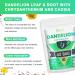 Organic Dandelion Root Tea with Chrysanthemum & Cassia - Digestion & Immune Support - 40 Tea Bags - Buy Online on GoSupps.com