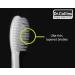 Dr. Collins Perio Toothbrush - Multicolor - 1 Count Pack for Effective Gum Care - Buy Online on GoSupps.com