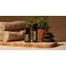 doTERRA Touch Shinrin-Yoku Forest Bathing Blend 10 mL Roll-On | Relax & Rejuvenate | International Shipping Available - Buy Online on GoSupps.com