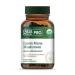 GAIA HERBS PRO Lion's Mane Mushroom - Supports Brain & Neurological Health* - Organic Mushrooms - 2 500mg Per Serving - Gluten-Free - 60 Capsules (30 Servings)