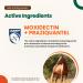 Quest Plus Gel Horse Dewormer for Horses and Ponies 6 Months+, 0.5oz Syringe - Moxidectin/Praziquantel Formula for Late Grazing Season - Buy Online on GoSupps.com
