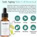 Antioxidant Rescue Cream & Aquallure Apple Stem Cell Serum Bundle - Anti Aging Moisturizing Peptides Hyaluronic Acid Vitamin C 20% - Shop Now - Buy Online on GoSupps.com