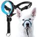 Goodboy Dog Halver with Service Birth-Stop heavy pulling on a leash-padded halter for small medium-sized and large dog sizes-Halard training instructions included Size 2 (Pack of 1) Black Nylon Blue Push