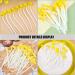 Alipis 12pcs bean sprouts Model decorations pretend lifelike vegetable adornment decorate fruit vegetables decorative vegetable artificial pvc Green bean sprouts Yellow 9.00X1.00X1.00CM - Buy Online on GoSupps.com
